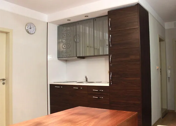 Harmony Palace 4* Slăntjev Brjag